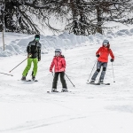 Ski, Skikurs, Skischule Viehhofen