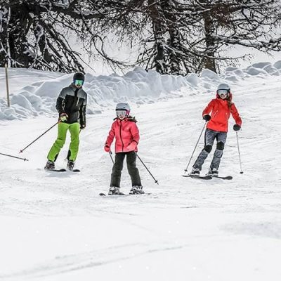 Skischule Viehhofen