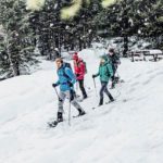 Schneeschuhwanderung - Skischule und Skiverleih Viehhofen